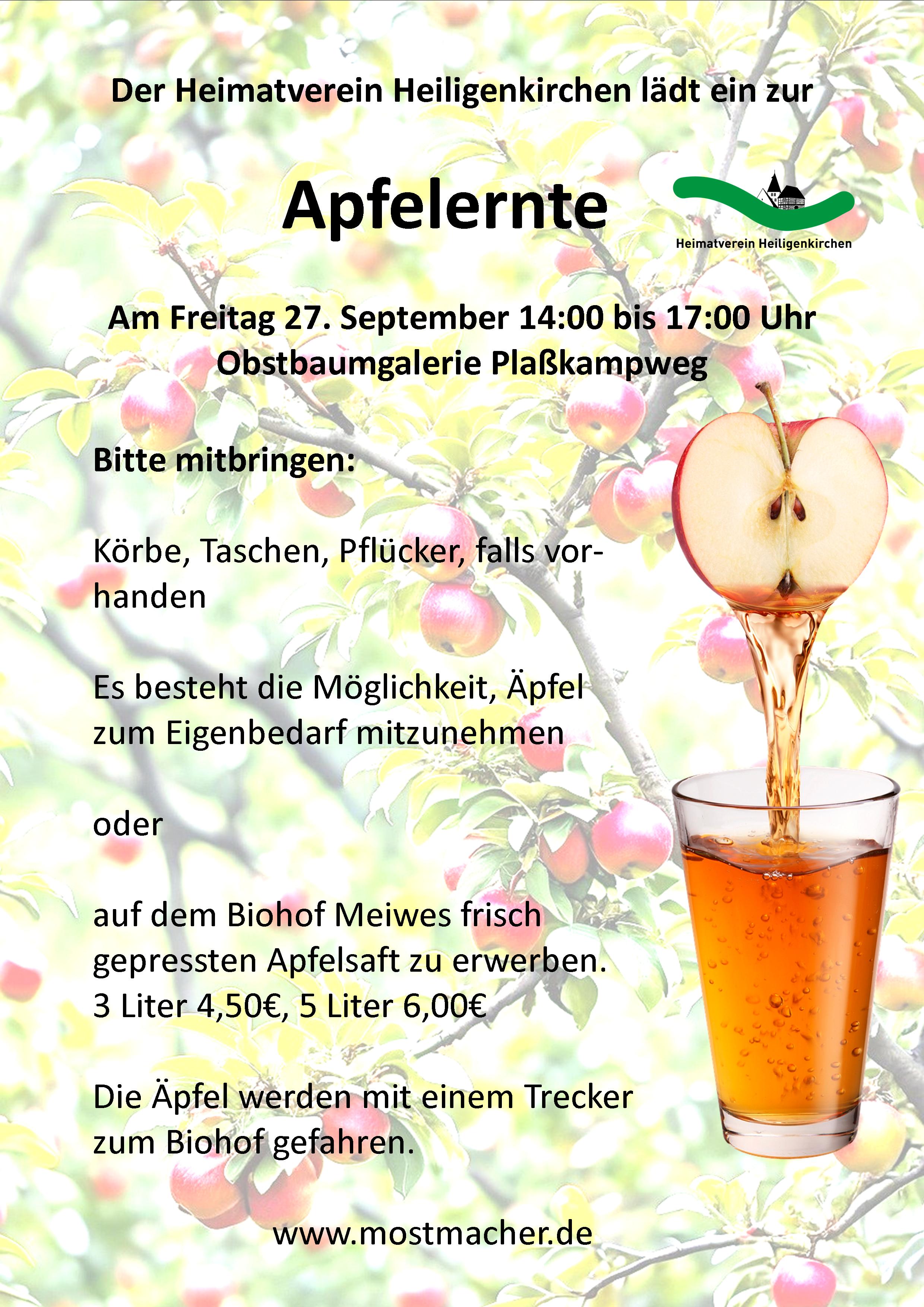 Druck Flyer, Poster